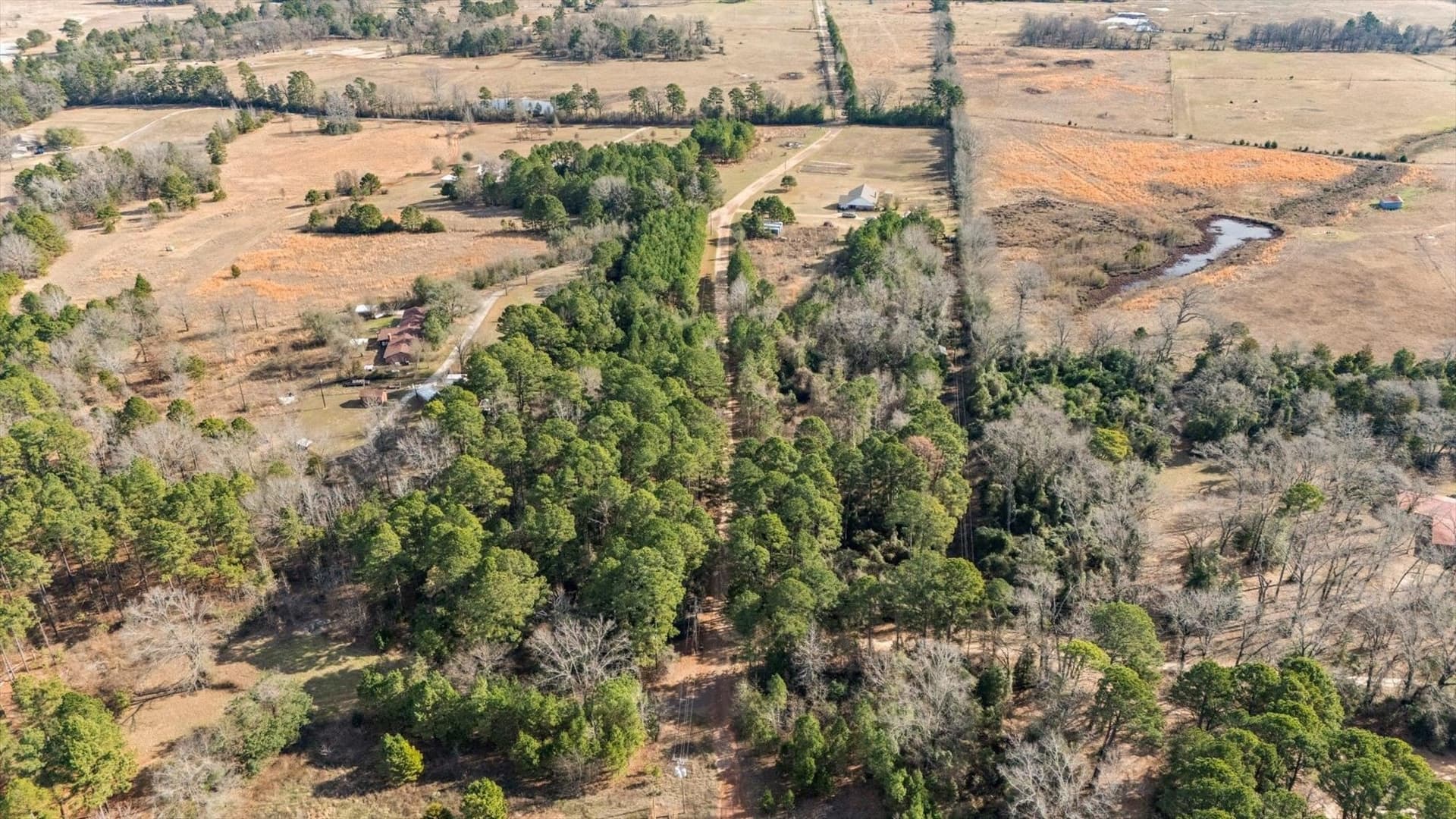 5.2 acres in Wood County - photo 9