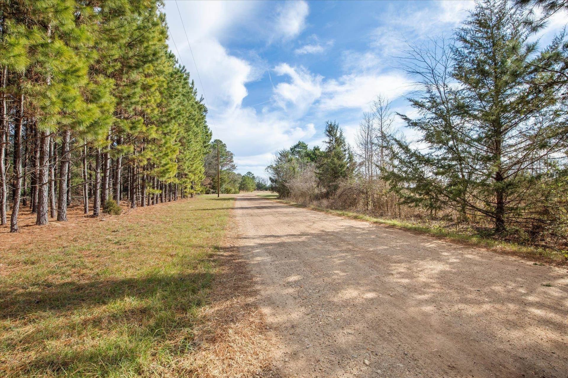 5.2 acres in Wood County - photo 10