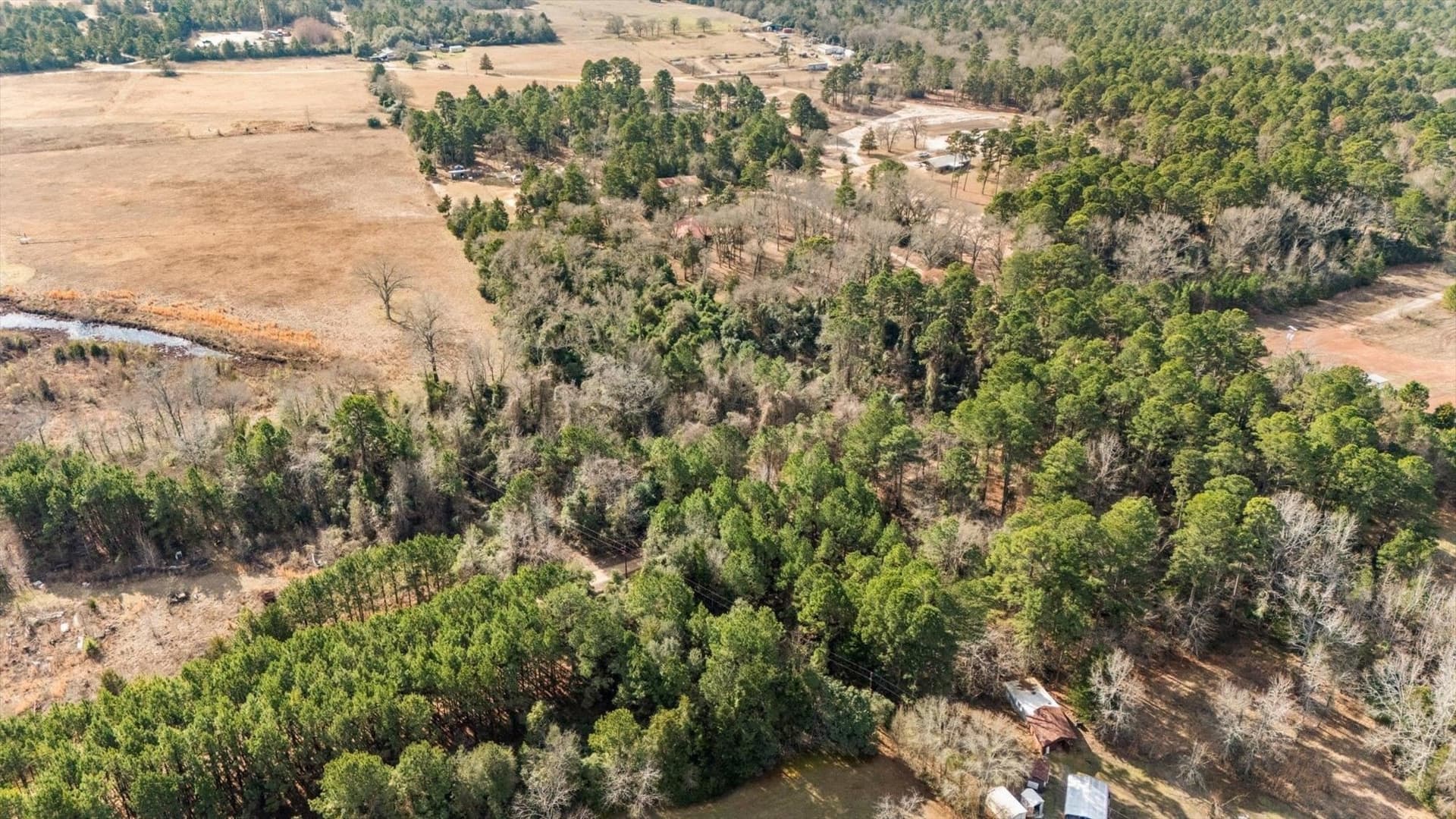 5.2 acres in Wood County - photo 7