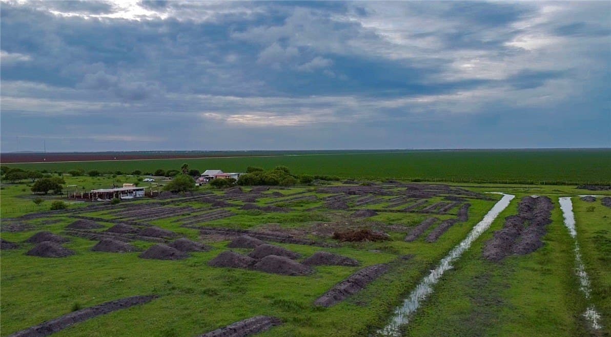 10.99 acres in Nueces County - photo 6