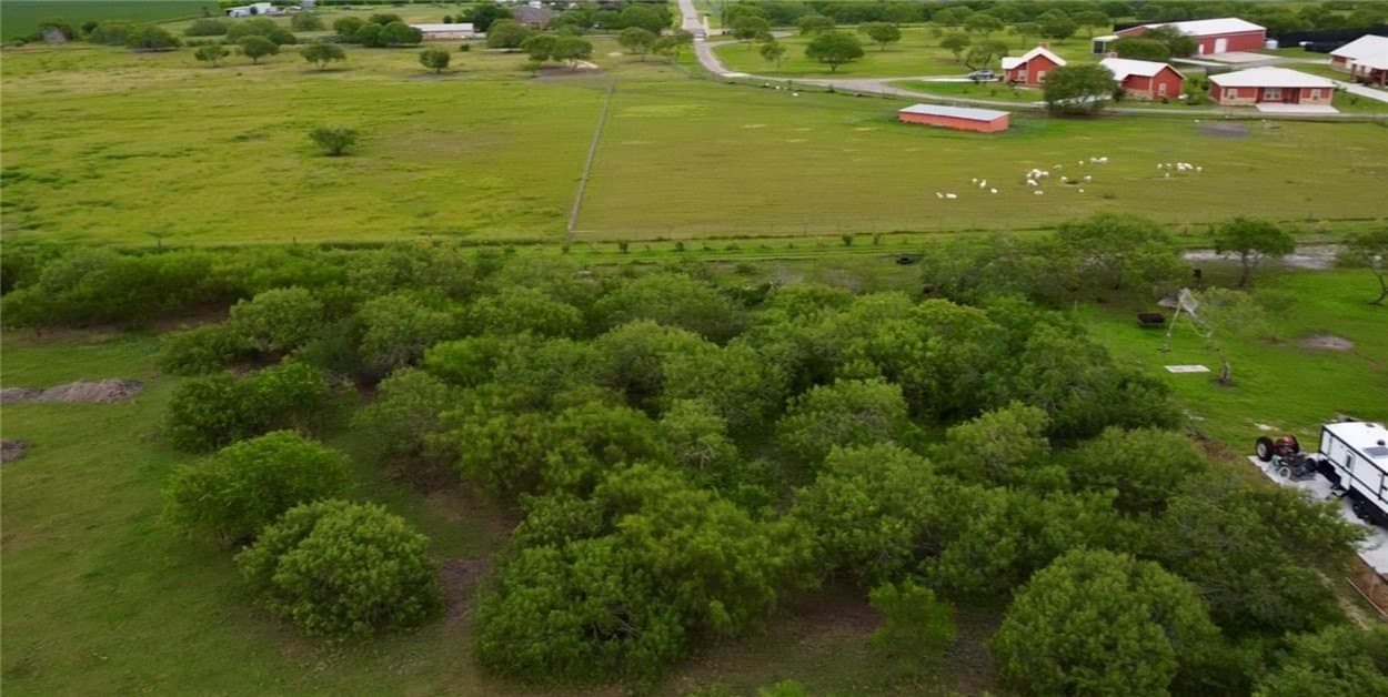 10.99 acres in Nueces County - photo 8