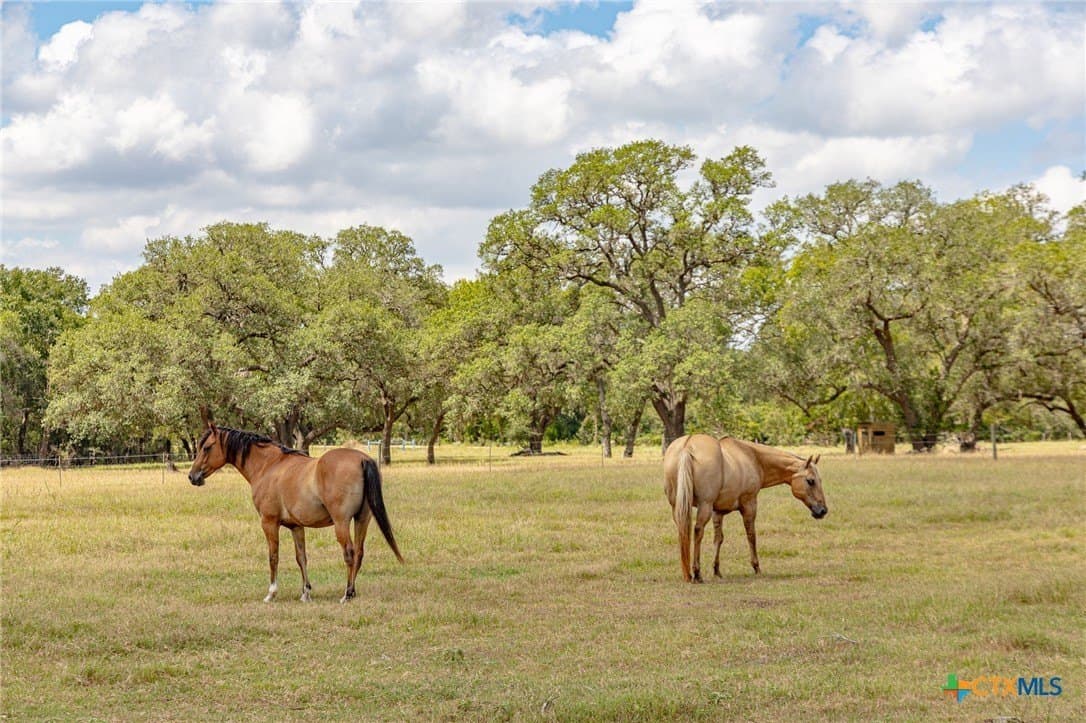 21.36 acres in Lavaca County - photo 2