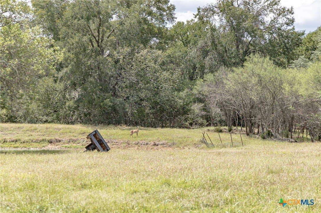 21.36 acres in Lavaca County - photo 7