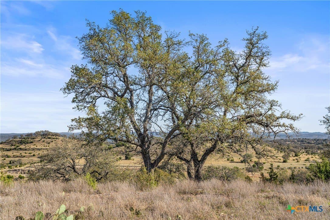 6.29 acres in Blanco County - photo 7