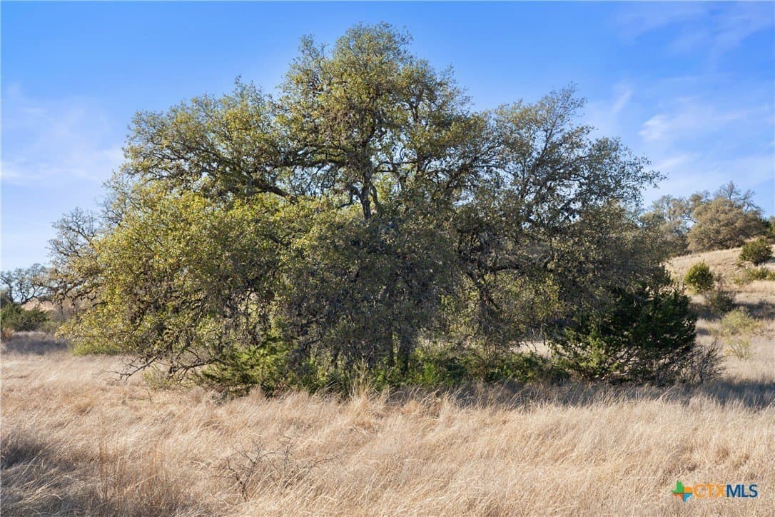 6.29 acres in Blanco County - photo 28