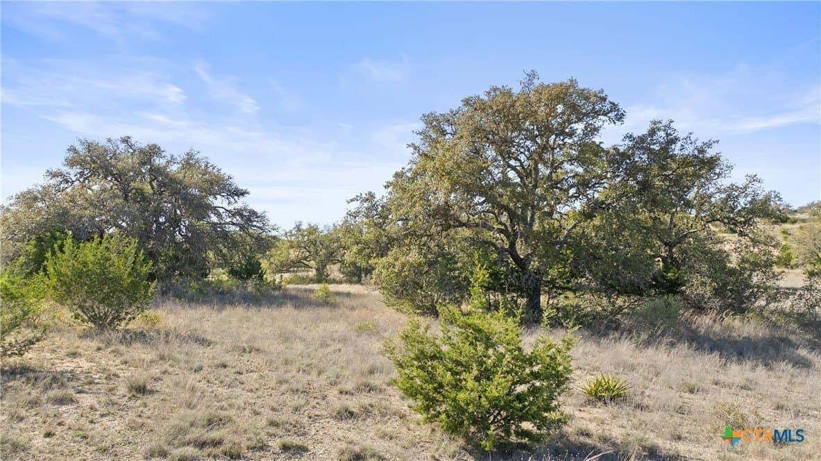 6.29 acres in Blanco County - photo 11