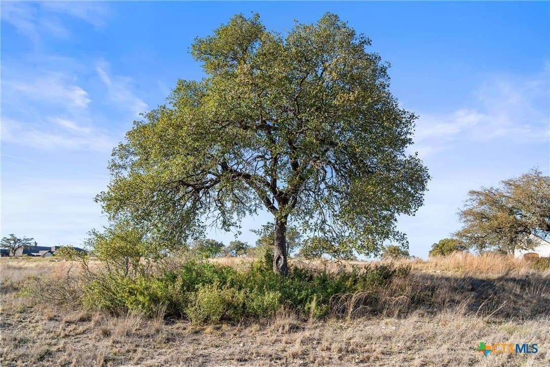6.29 acres in Blanco County - photo 6
