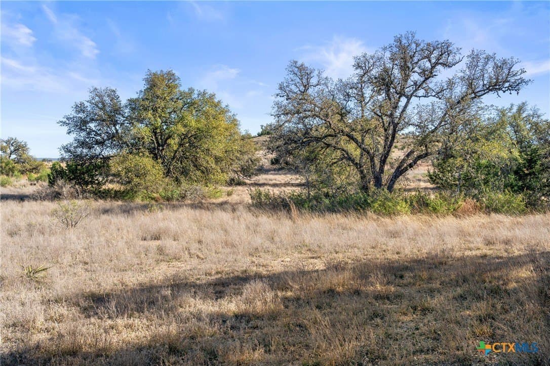 6.29 acres in Blanco County - photo 26