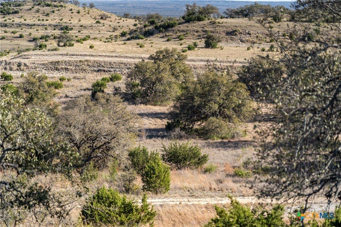 6.29 acres in Blanco County - photo 8