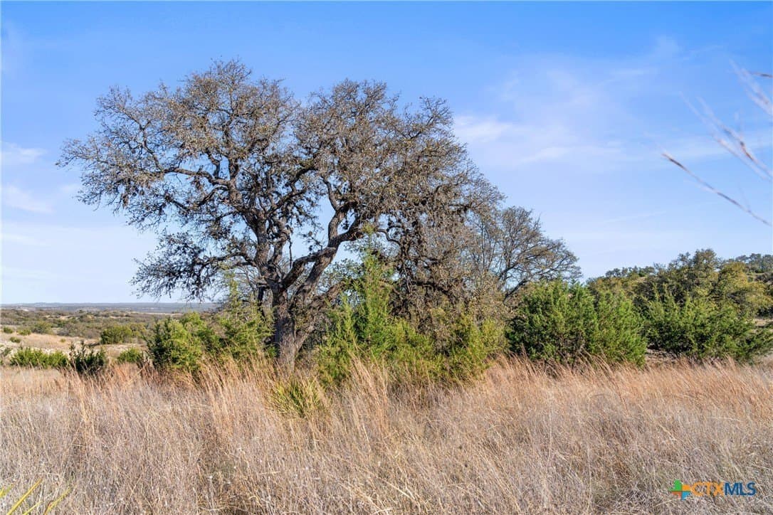 6.29 acres in Blanco County - photo 25