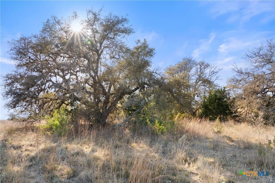 6.29 acres in Blanco County - photo 4