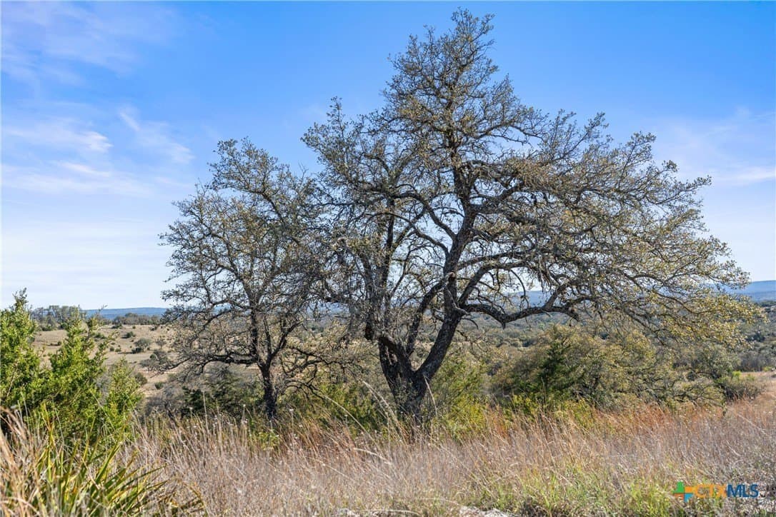 6.29 acres in Blanco County - photo 17