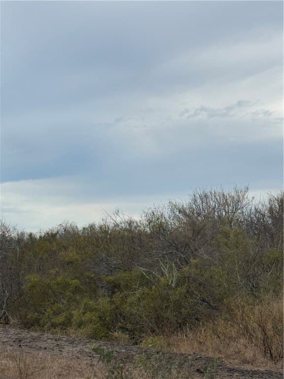9.02 acres in San Patricio County - photo 2