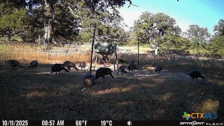 38.82 acres in Guadalupe County - photo 6