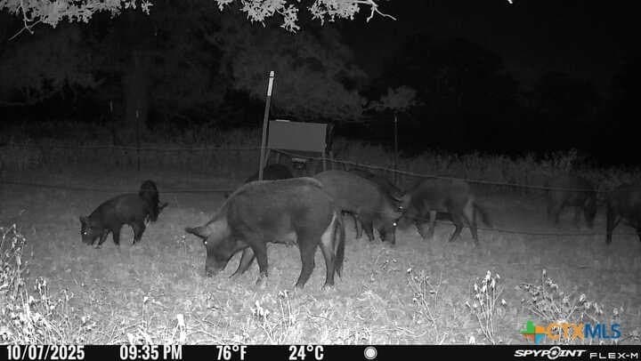 38.82 acres in Guadalupe County - photo 14