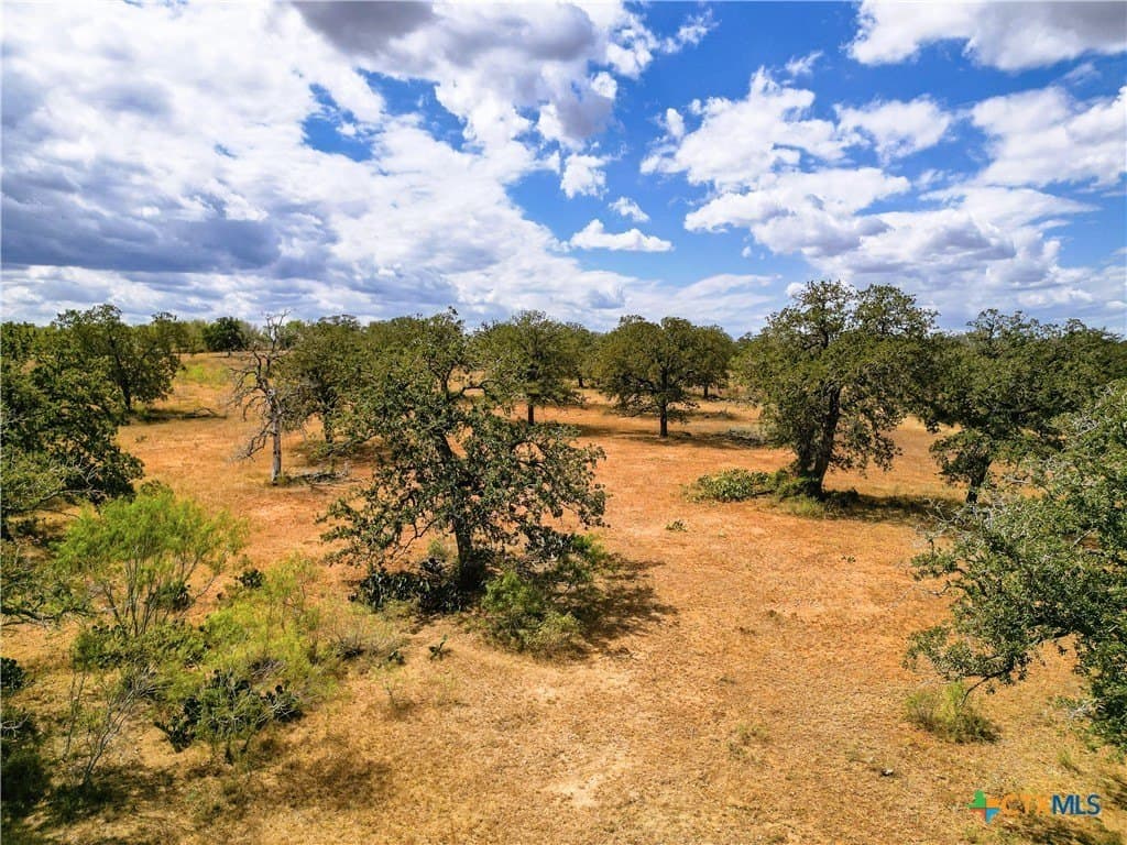 38.82 acres in Guadalupe County - photo 8