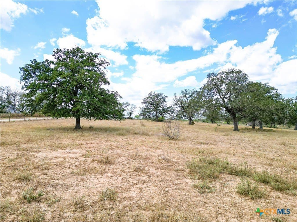 38.82 acres in Guadalupe County - photo 11