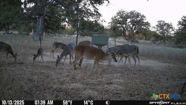 38.82 acres in Guadalupe County - photo 5