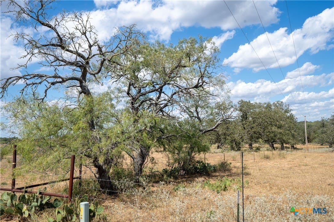 38.82 acres in Guadalupe County - photo 19