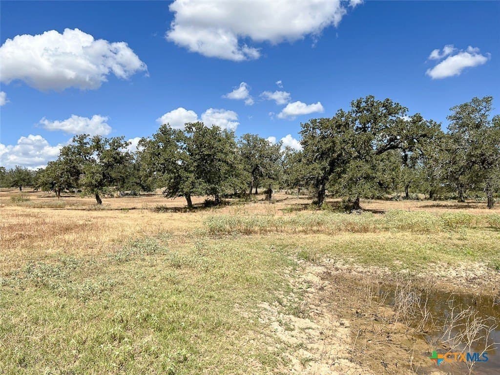 38.82 acres in Guadalupe County - photo 28