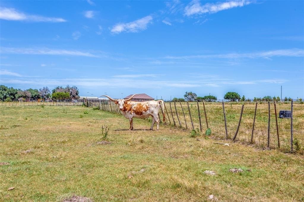 19.98 acres in Parker County - photo 3