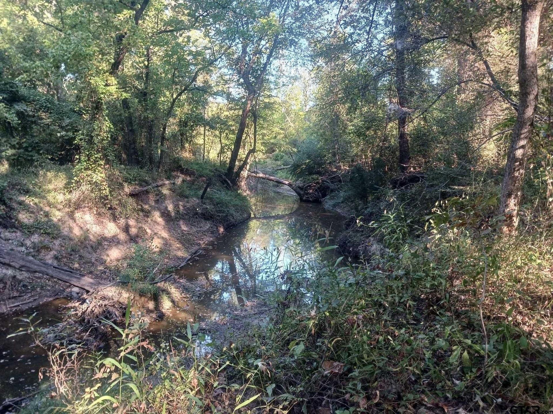 27.3 acres in Franklin County - photo 21