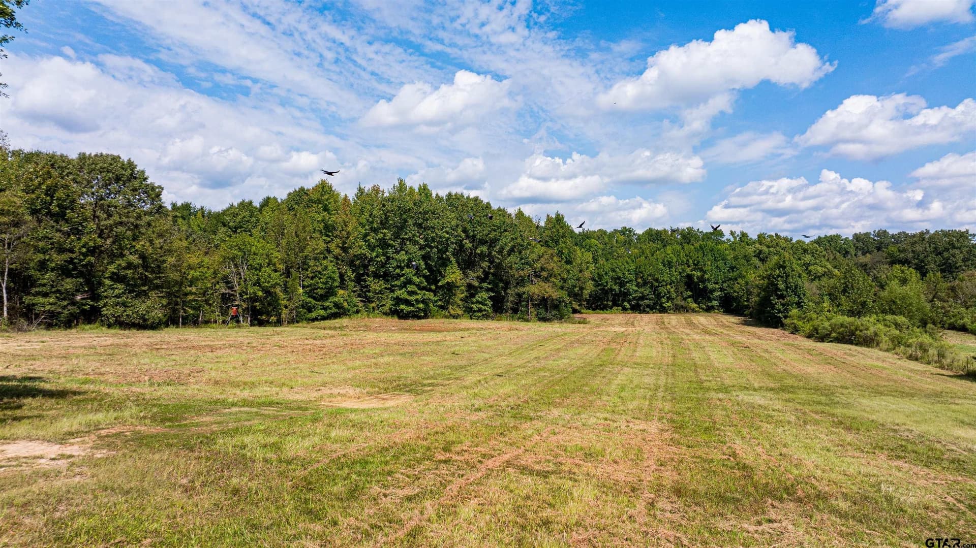 27.3 acres in Franklin County - photo 18