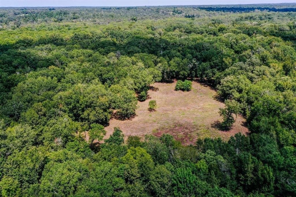 147.06 acres in Leon County - photo 13