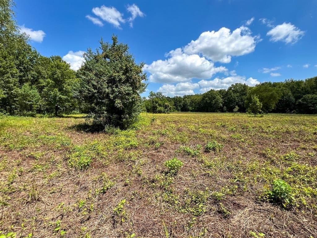 147.06 acres in Leon County - photo 37