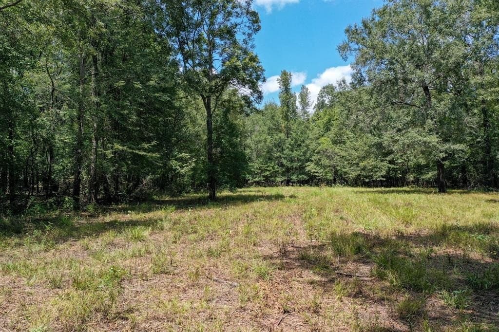 147.06 acres in Leon County - photo 8
