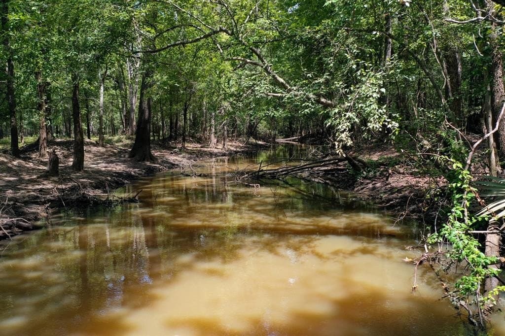 147.06 acres in Leon County - photo 31