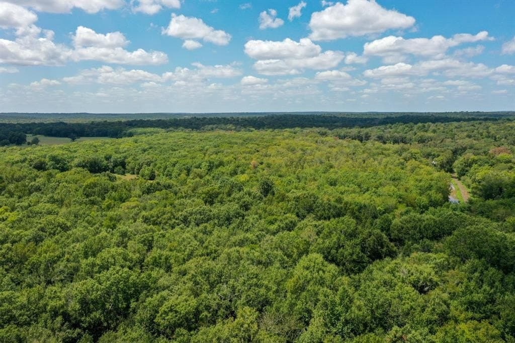 147.06 acres in Leon County - photo 20
