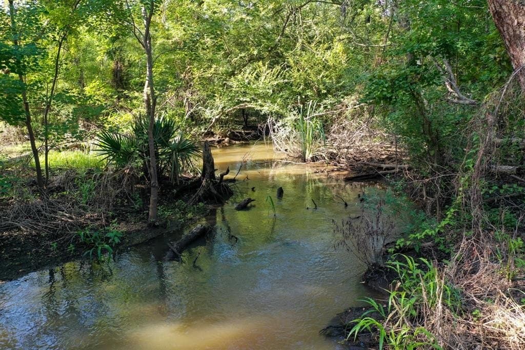 147.06 acres in Leon County - photo 4