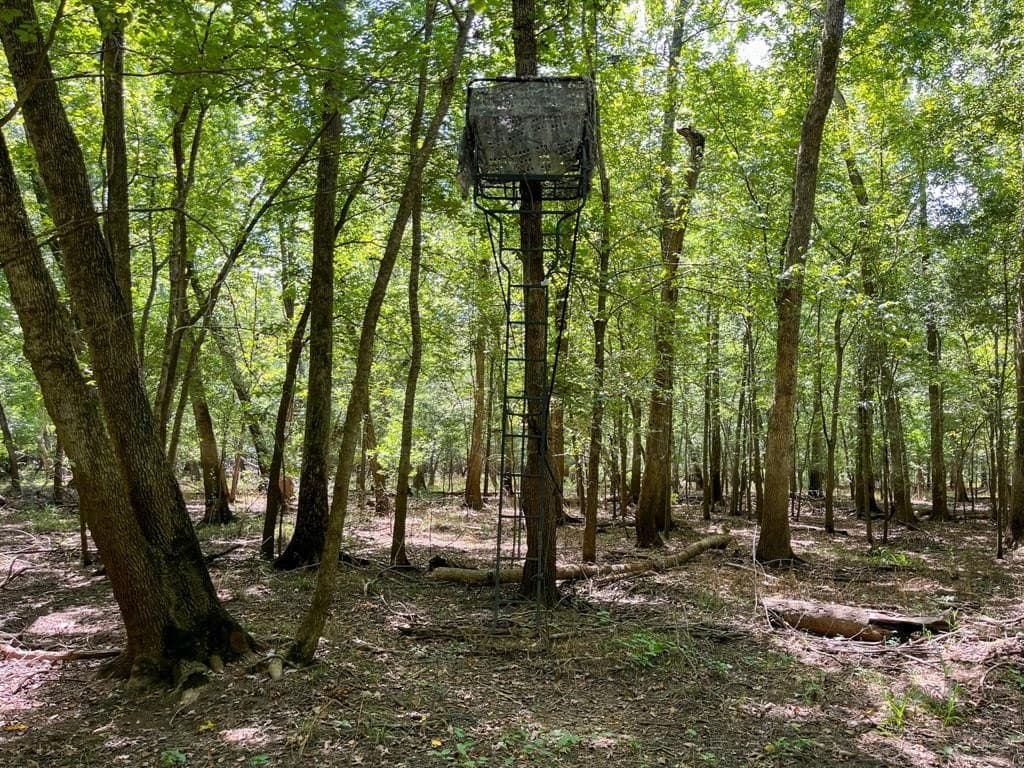 147.06 acres in Leon County - photo 33