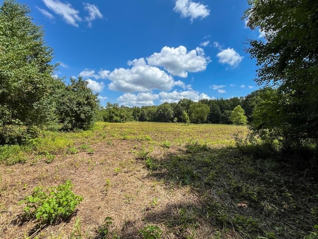 147.06 acres in Leon County - photo 25