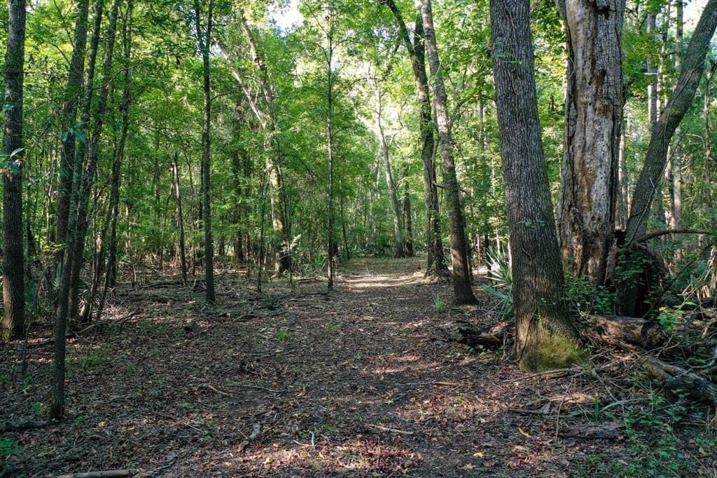 147.06 acres in Leon County - photo 11