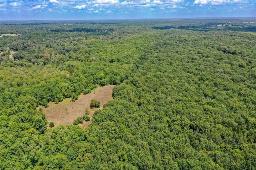 147.06 acres in Leon County - photo 14