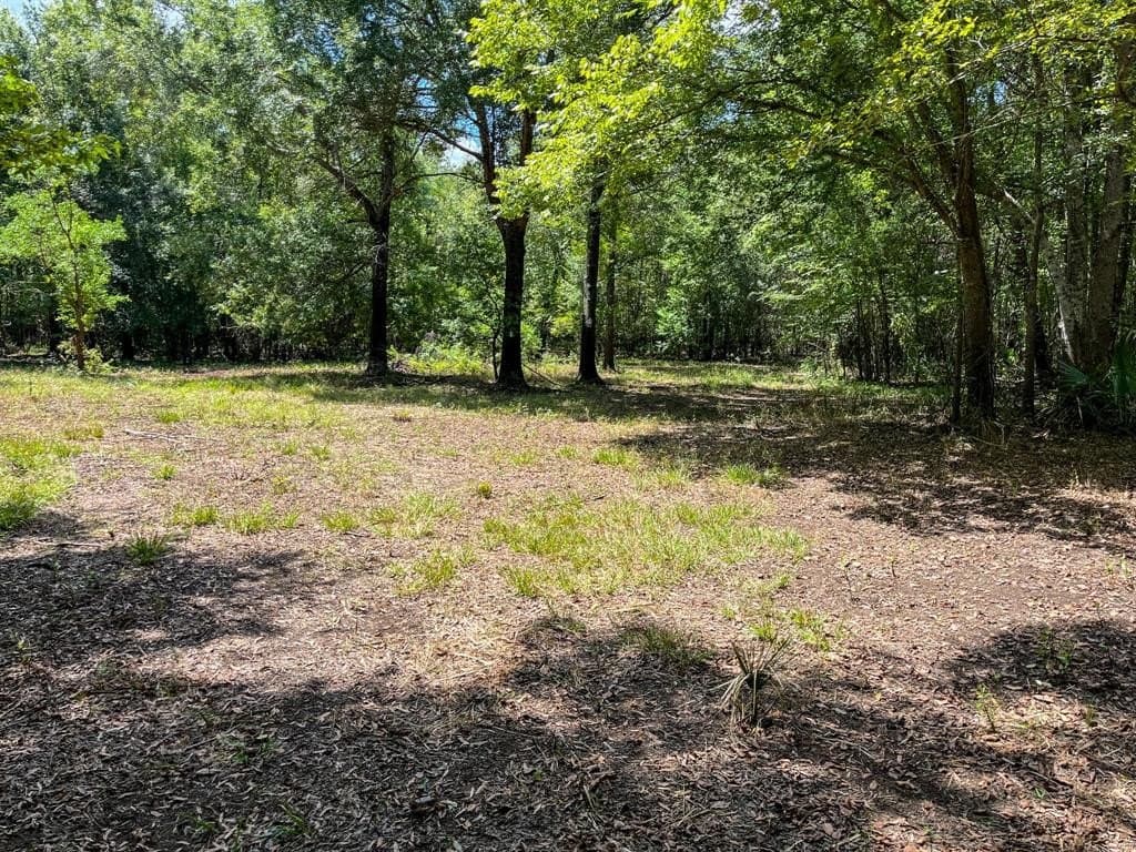 147.06 acres in Leon County - photo 23