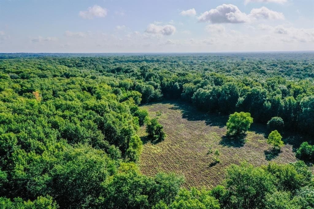 147.06 acres in Leon County - photo 5