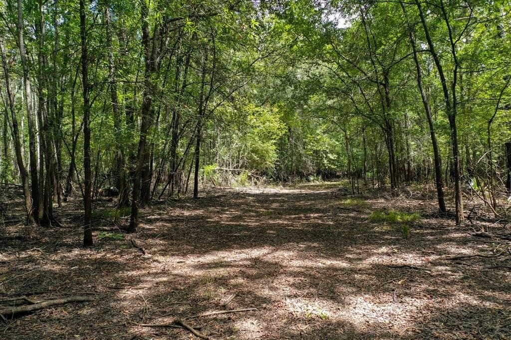 147.06 acres in Leon County - photo 22