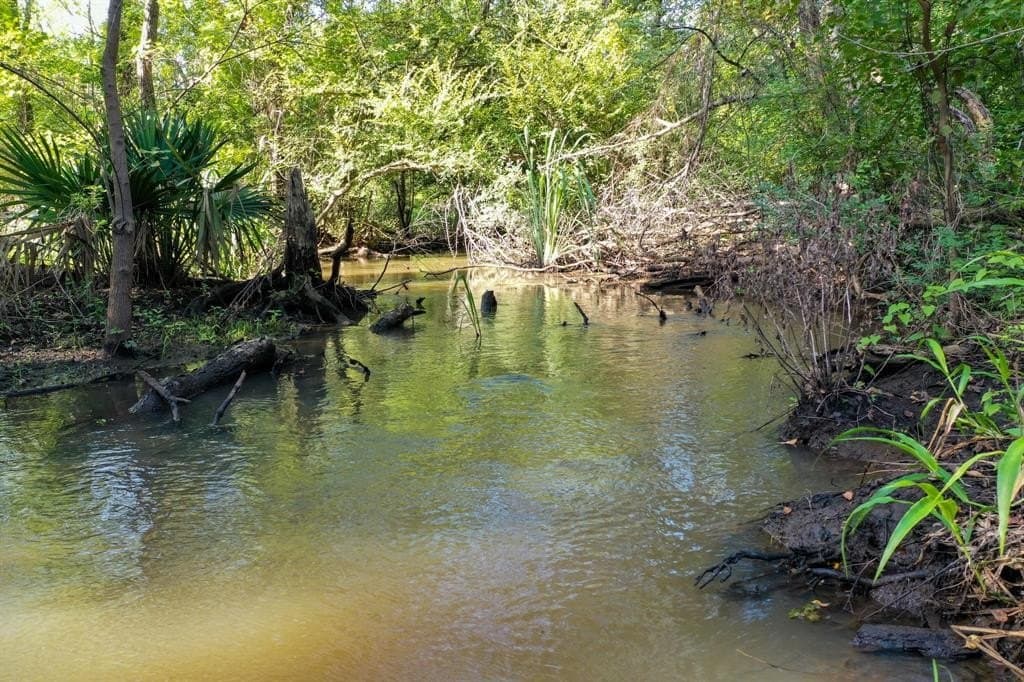 147.06 acres in Leon County - photo 36