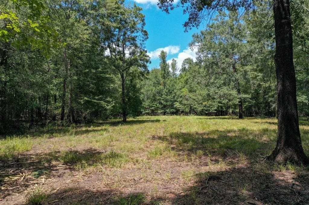 147.06 acres in Leon County - photo 18