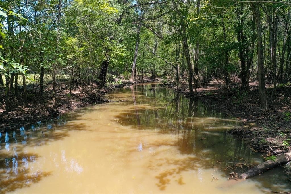 147.06 acres in Leon County - photo 38