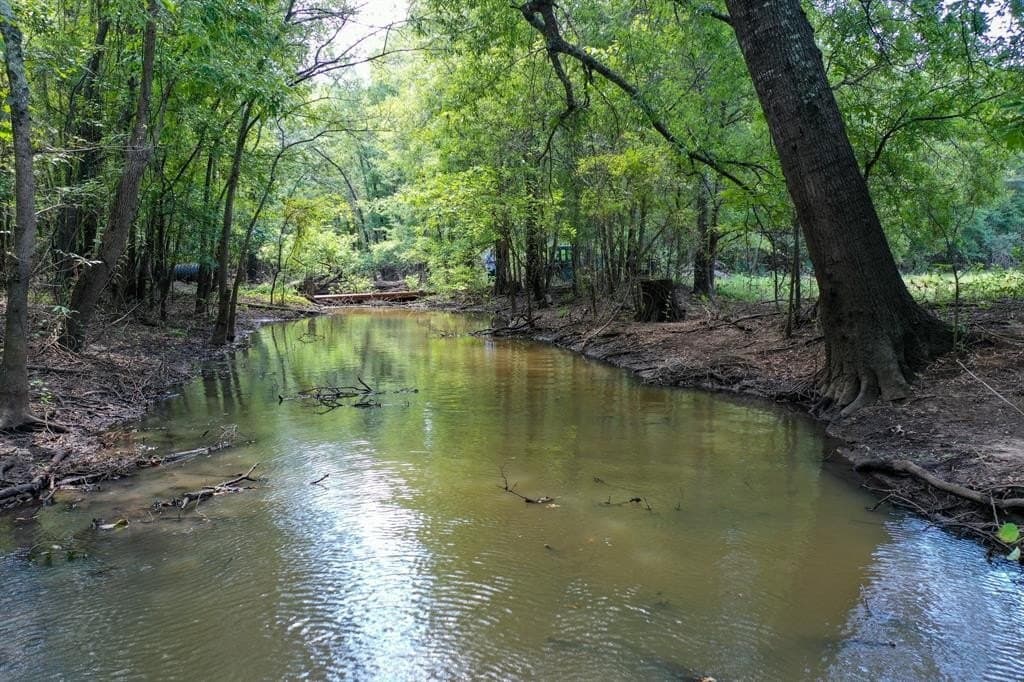 147.06 acres in Leon County - photo 6