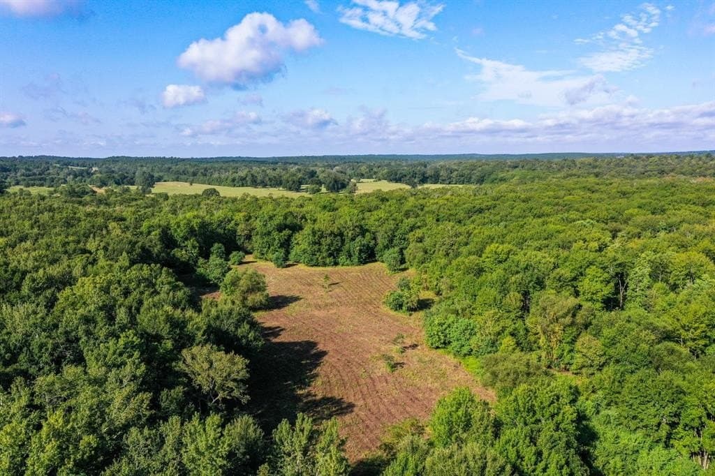 147.06 acres in Leon County - photo 3