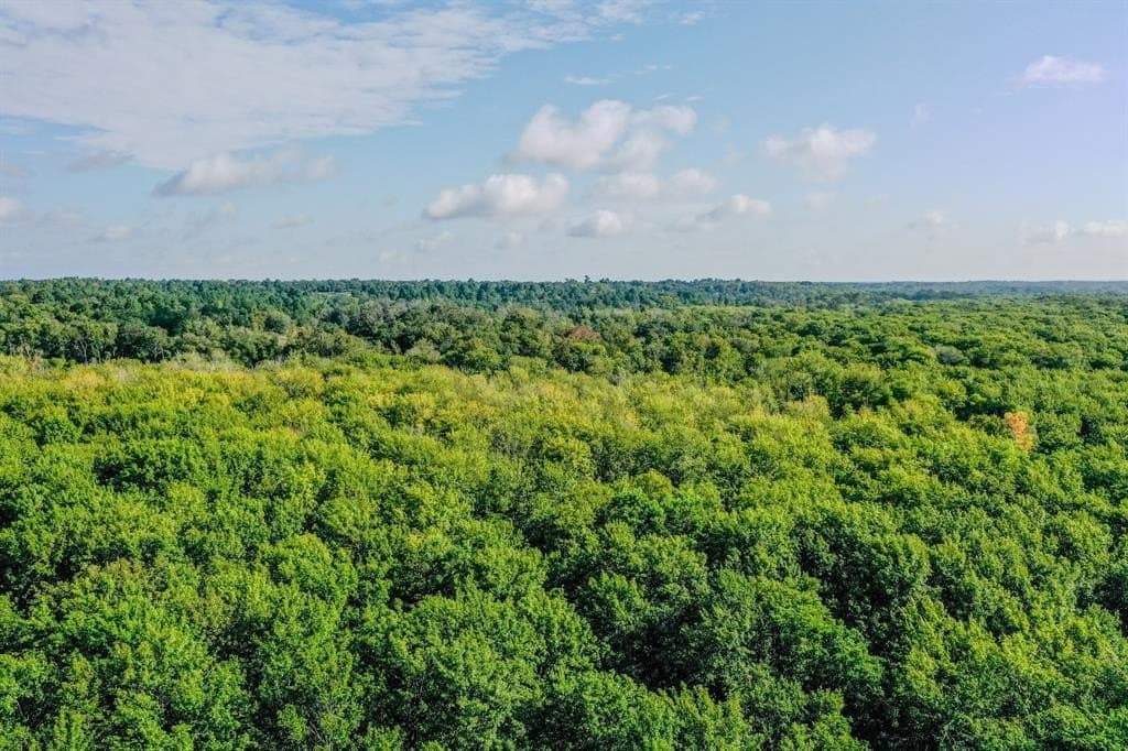 147.06 acres in Leon County - photo 10