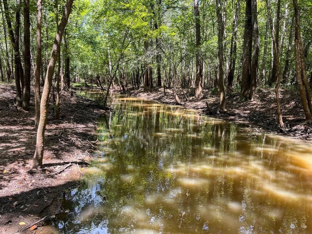 147.06 acres in Leon County - photo 21