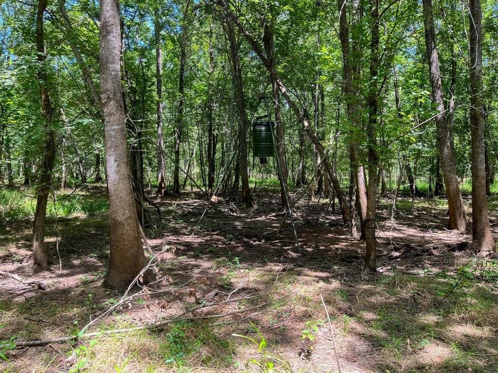 147.06 acres in Leon County - photo 27