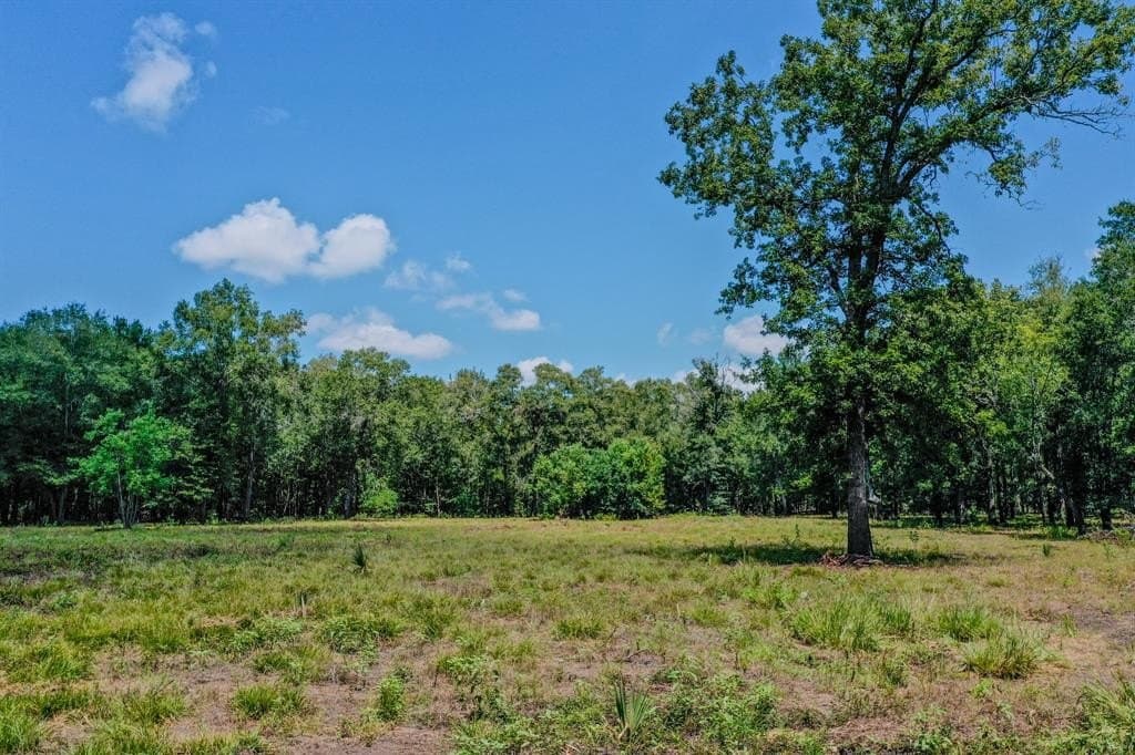 147.06 acres in Leon County - photo 35