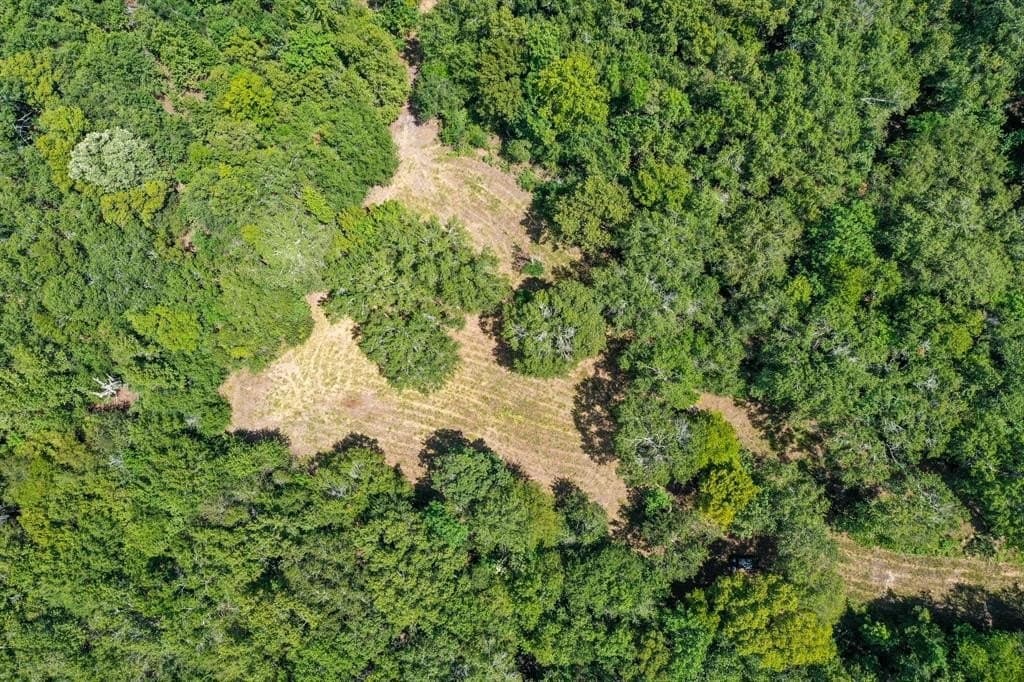 147.06 acres in Leon County - photo 19